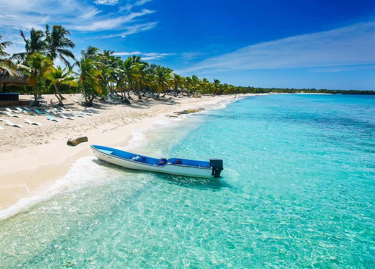 Isla Catalina: Un paraíso encantado - Temporada de viajes