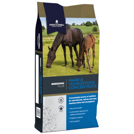 Dodson & Horrell Mare & Youngstock Balancer