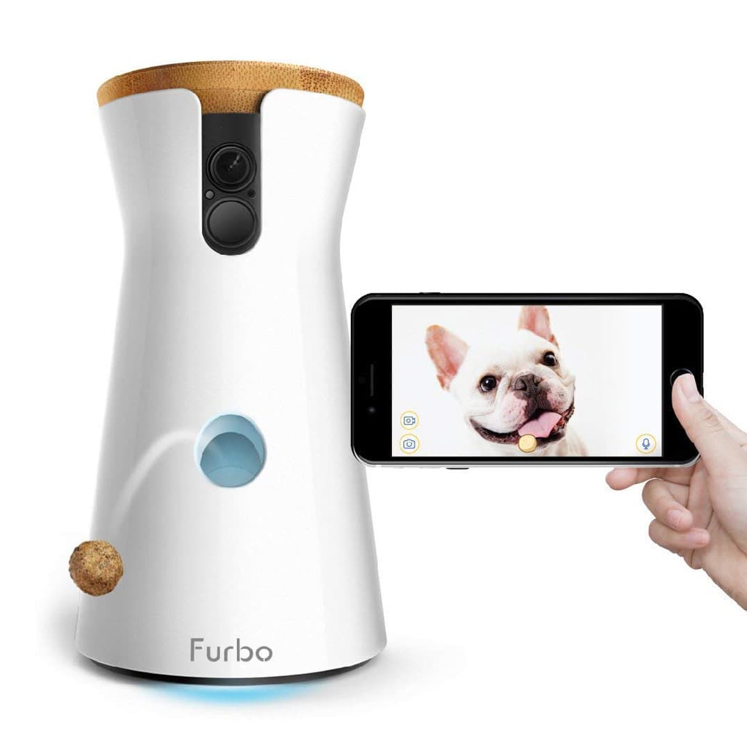 Furbo - Treat Tossing Dog Camera | The Green Head