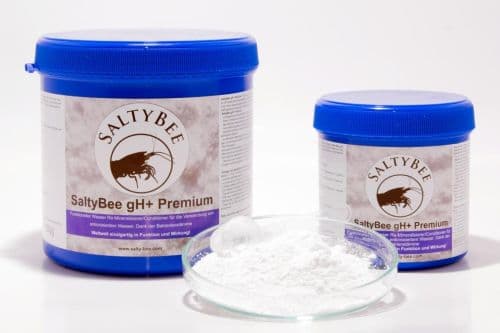 SaltyBee gH+Premium - 175g | The Shrimp Farm
