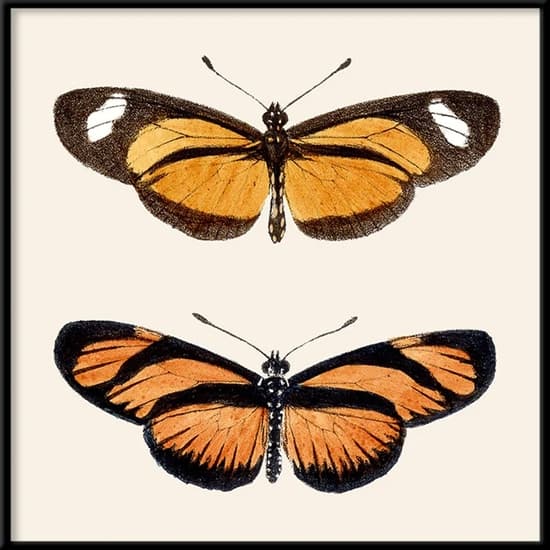 The Dybdahl - Plakat - Orange Butterflies. Mini Print - 15x15 cm