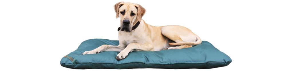 How to clean a dog bed, especially a waterproof dog bed. - Tuffies dog beds
