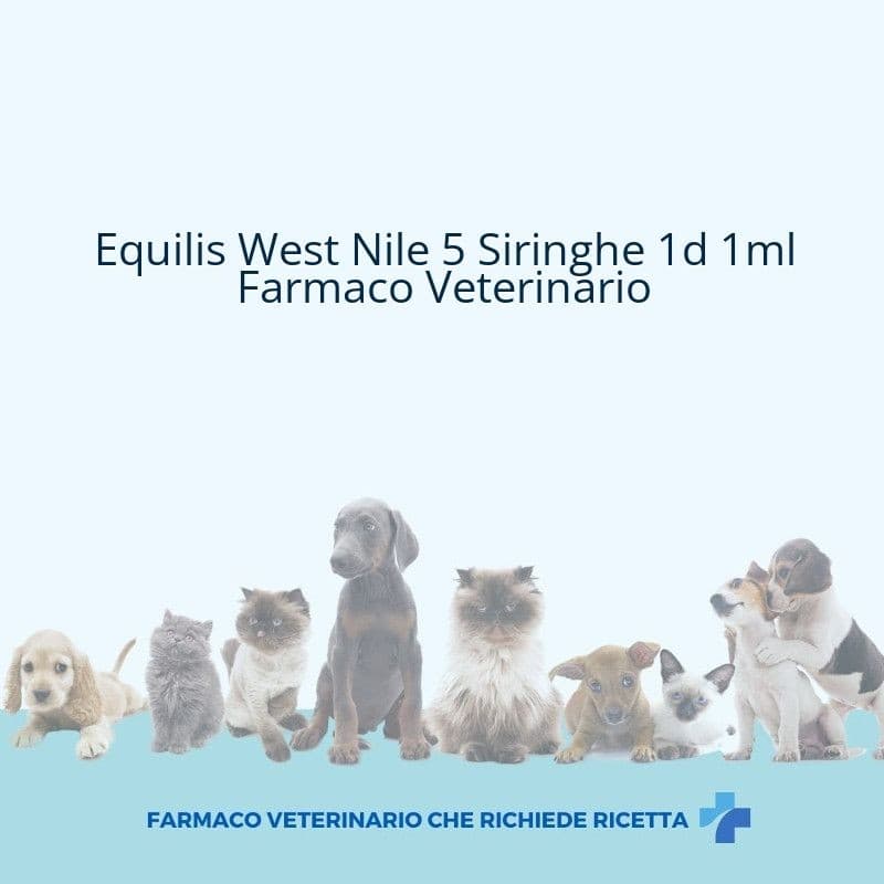 Equilis West Nile 5 Siringhe 1d 1ml Medicinale Veterinario Vendita ...