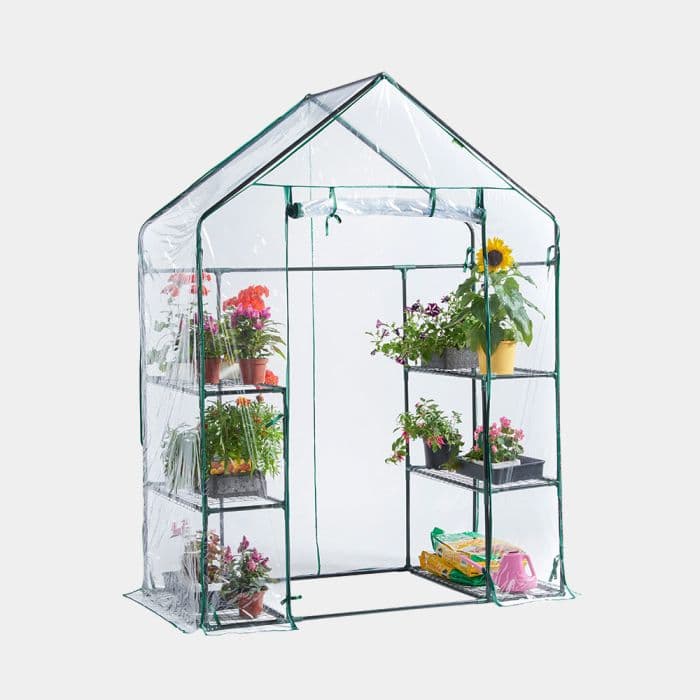 Small Walk In Greenhouse - Weather Resistant | VonHaus