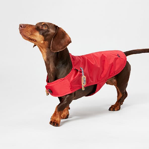 Dog Rain Coat Joules at Ruben Williams blog
