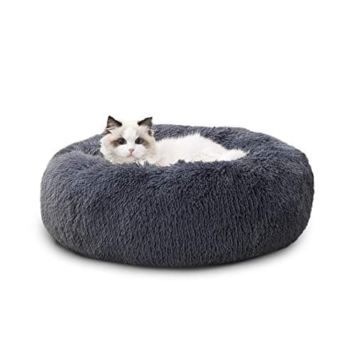 Bedsure Donut Cat Bed - Zotezo UK