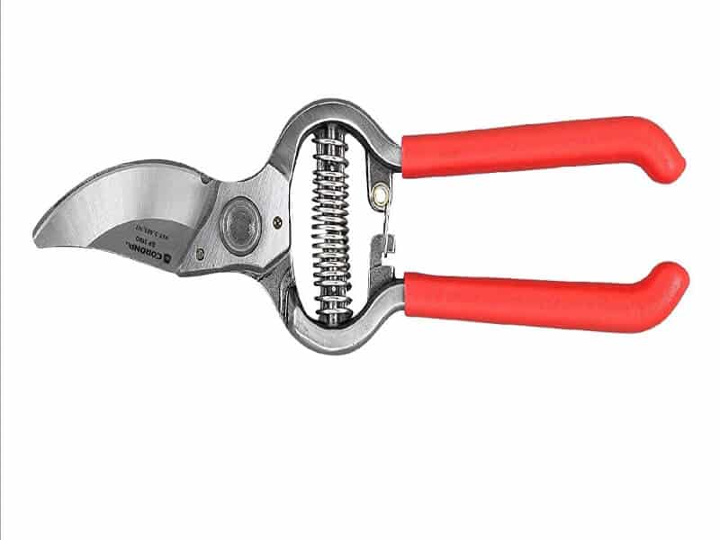 Best Pruning Shears